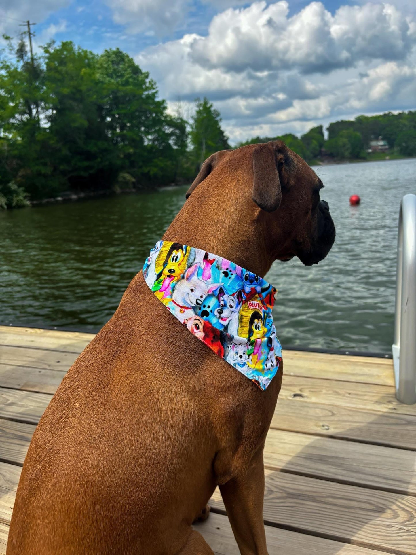 NOV Pre-Order Pet Bandana - Green Balls