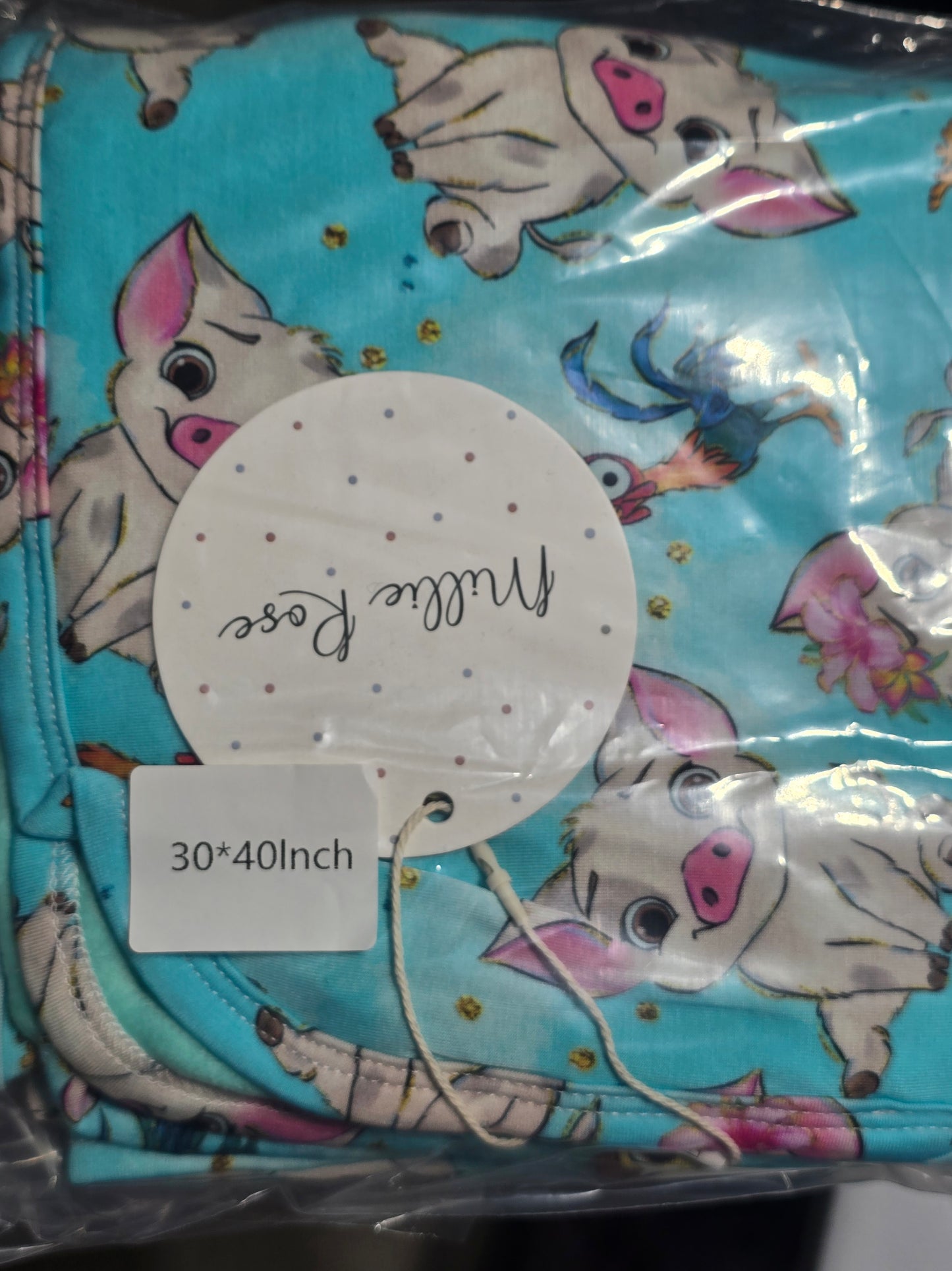 RTS 30x40 Toddler Minky backed bamboo blanket - Pua